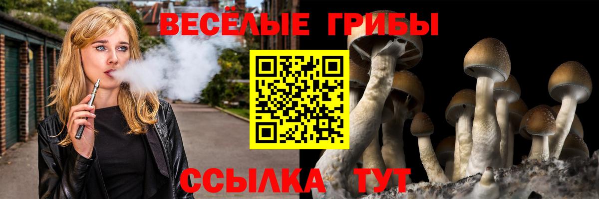 Галлюциногенные грибы ЛСД Вольск
